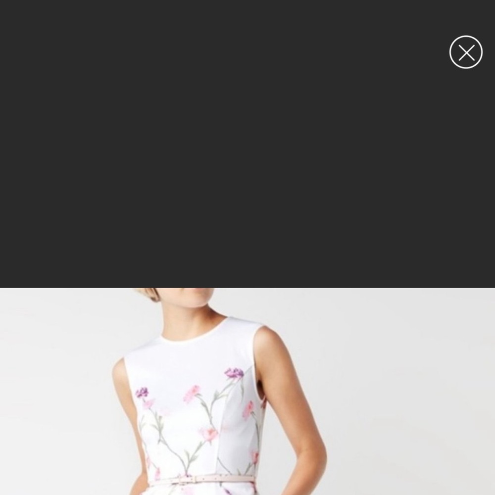 Ted Baker Sketched Floral Dress 3 / U.S. 8